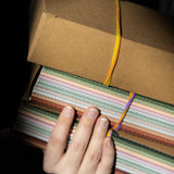 Fast Brain - The Complete Set