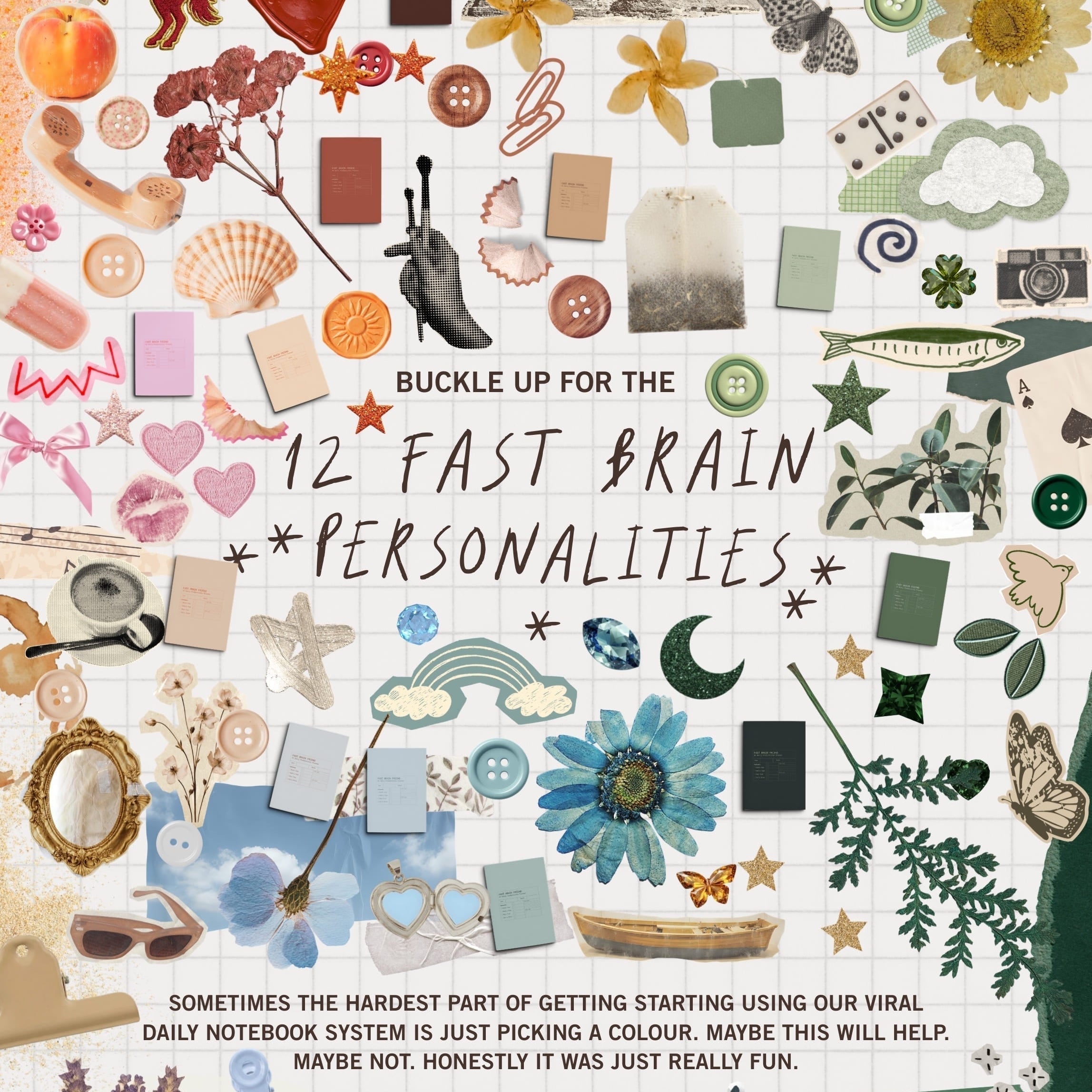 Which colour are you?: The 12 Fast Brain Personalities, explained.