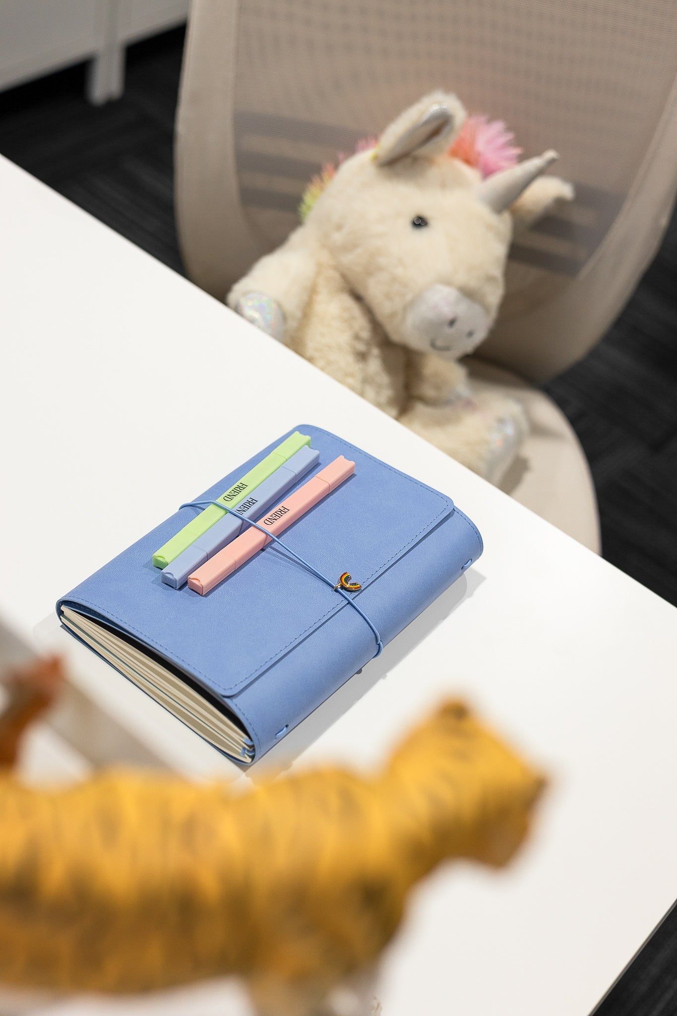 The Architecture of Imagination: Why This Launch Became Our Biggest Ever