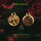 Aquarius Zodiac Charm