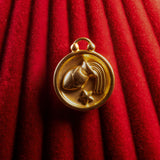Aquarius pendant on a red textured fabric background