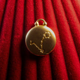 Gold pendant with Pisces constellation on a red textured background