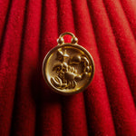 Scorpio pendant a red textured background