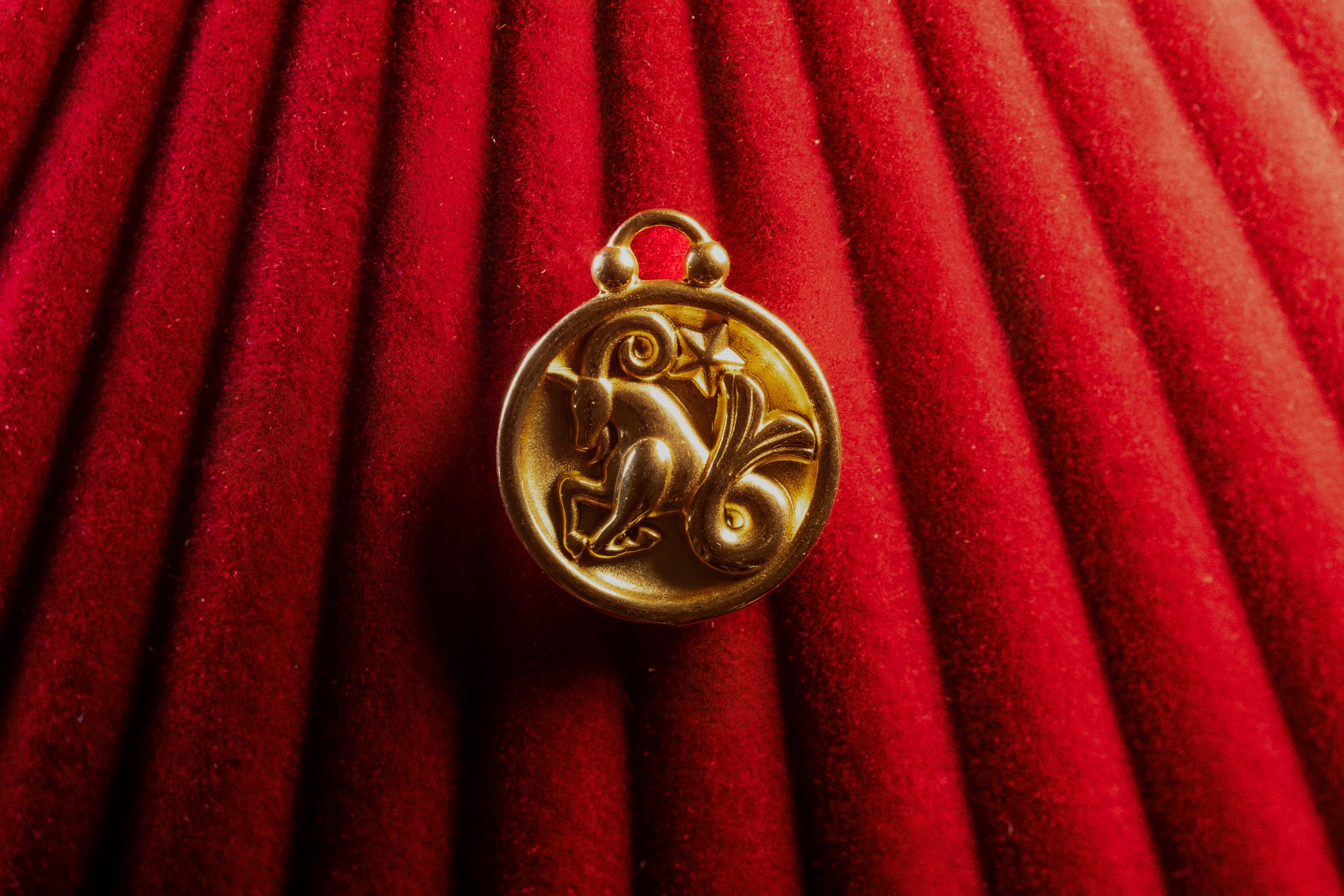 capricorn pendant on a red textured background