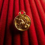 capricorn pendant on a red textured background