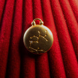 Gold pendant with Sagittarius Constellation on a red textured background