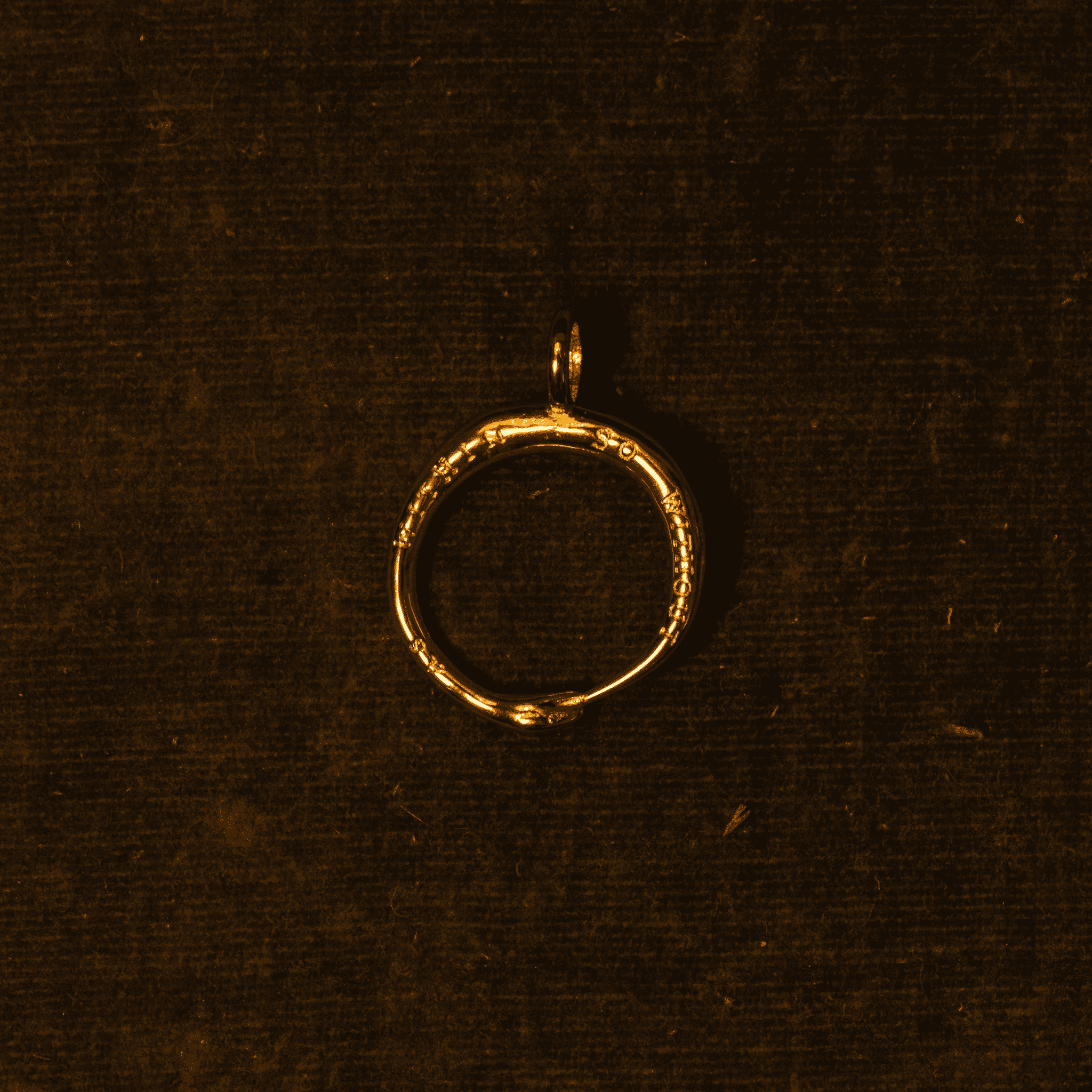 The Ouroboros Charm